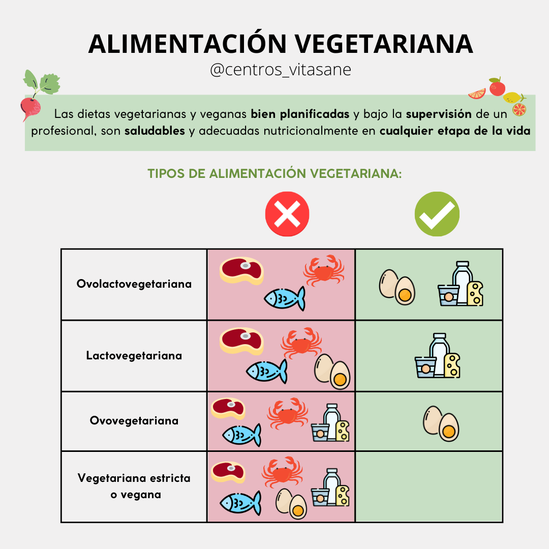 Nutricionista Experto En Dieta Vegetariana 0773